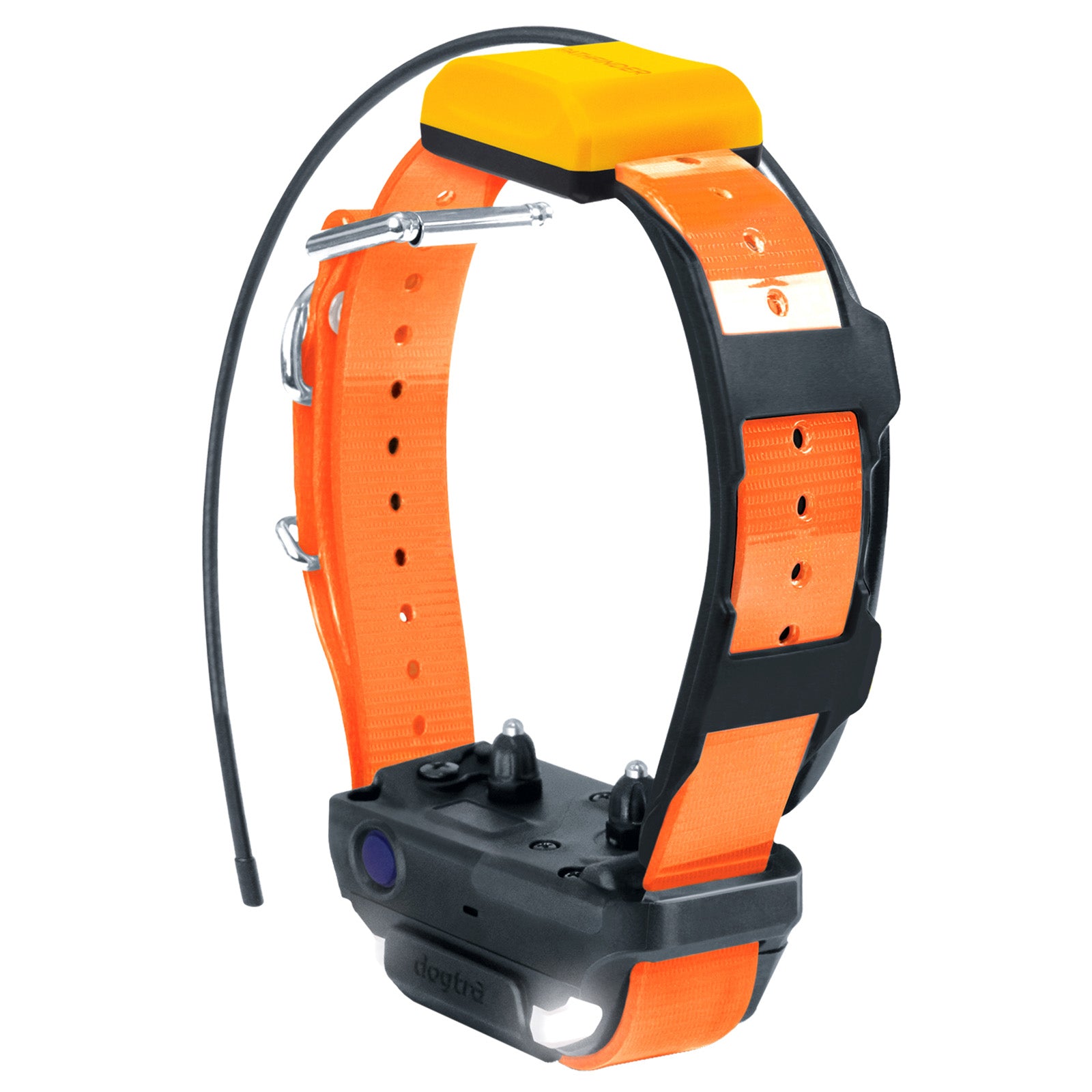 Pathfinder 2 Zusatzhalsband