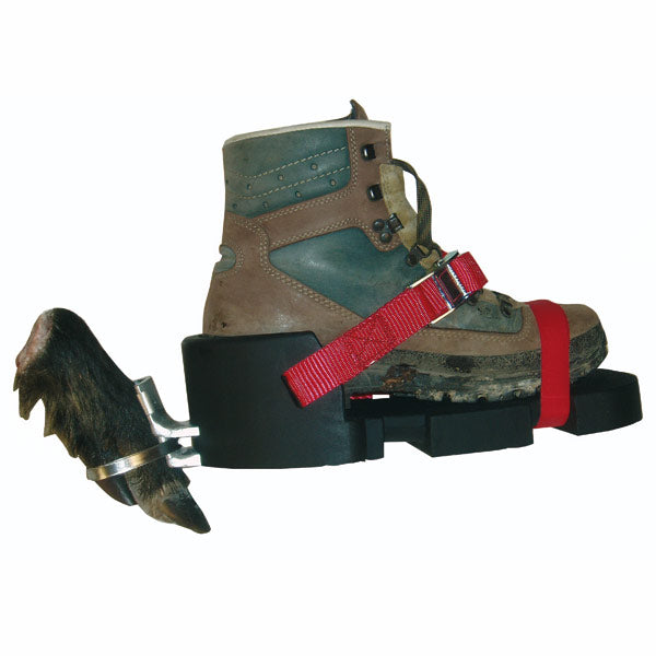 Classic Fährtenschuh