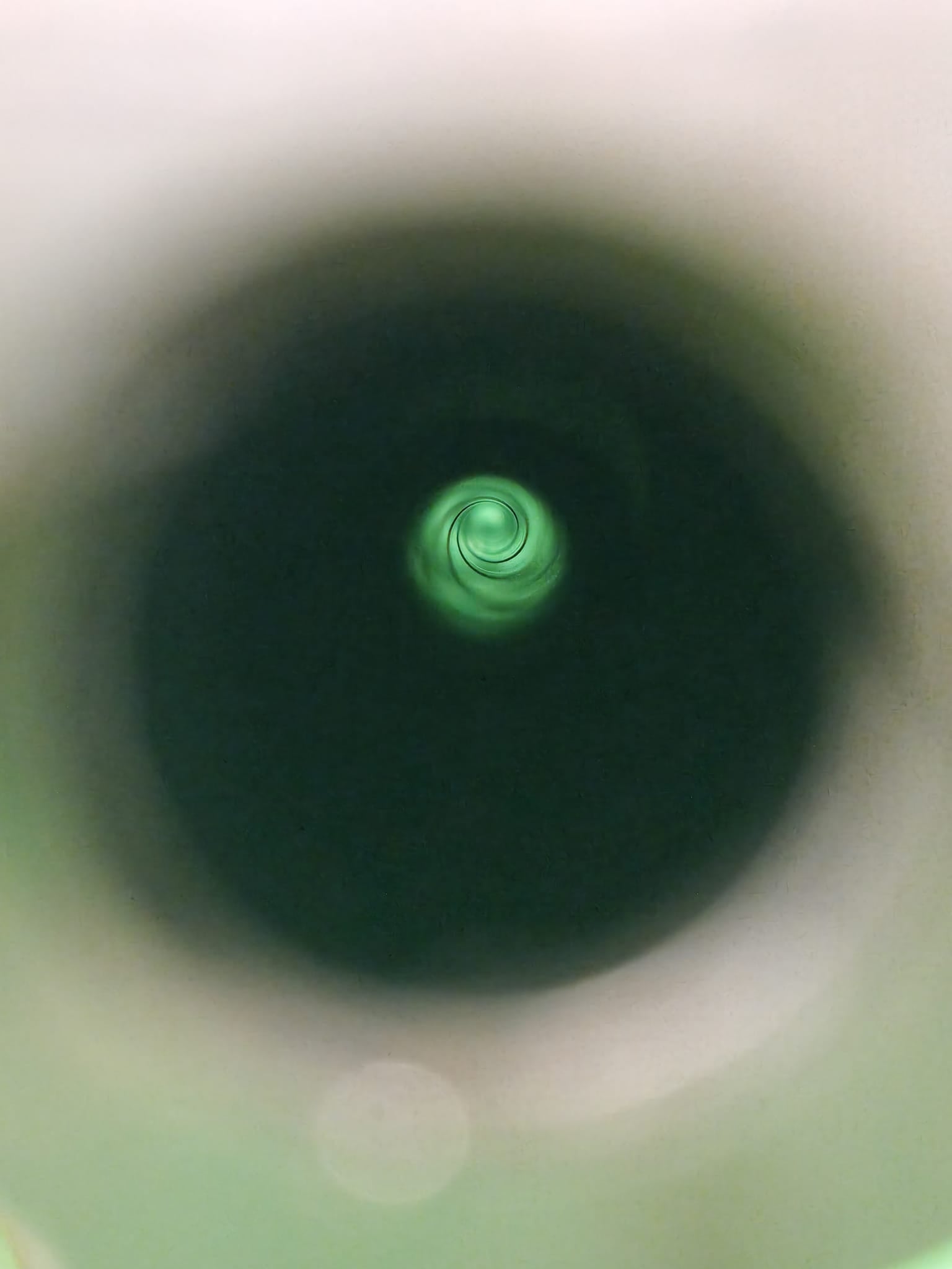 Sauer 54 BBF 7x65R mit Zielfernrohr