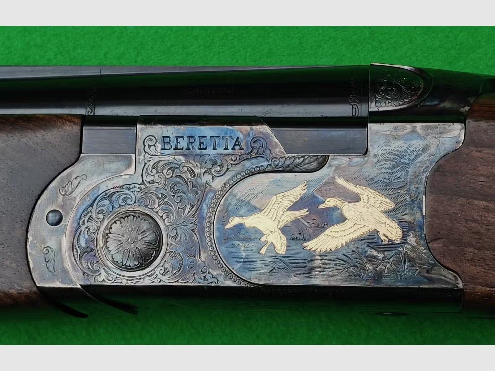 687 Silver Pigeon