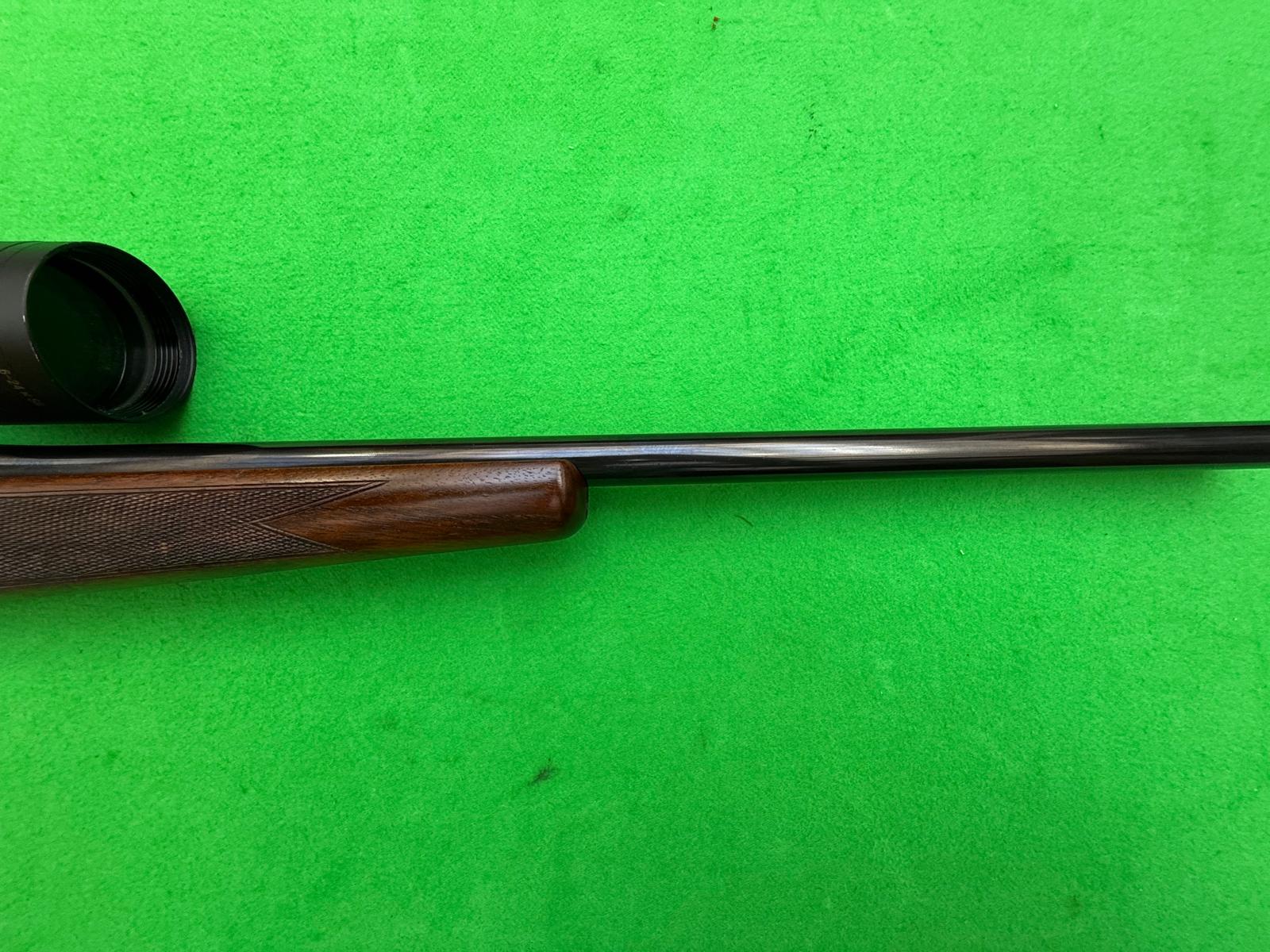 202 in .270Win & Vixen 6-24x58